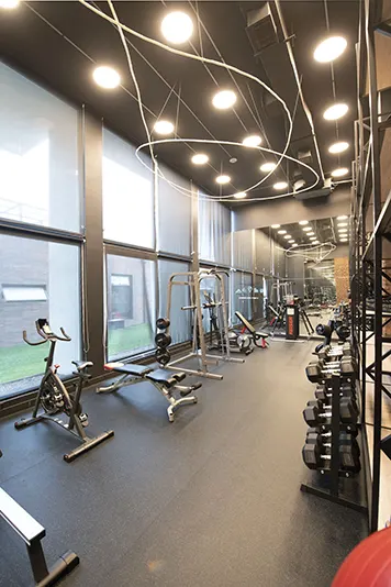 Gimnasio de Máquinas - Parque Toledo