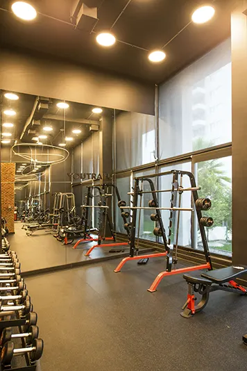 Gimnasio de Máquinas - Parque Toledo